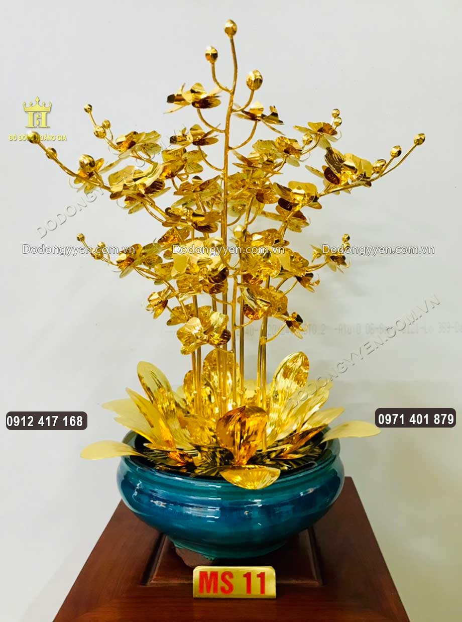 Mẫu chậu hoa Lan 11